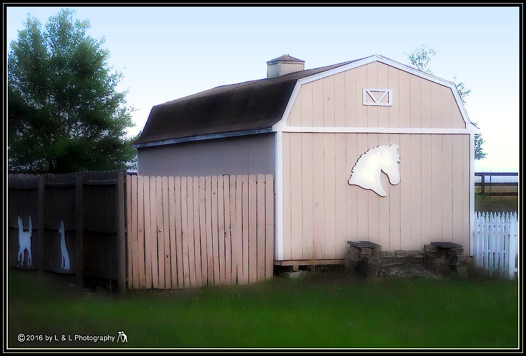 Ocala Central Florida Beyond Small Horse Barn And Horse Lights