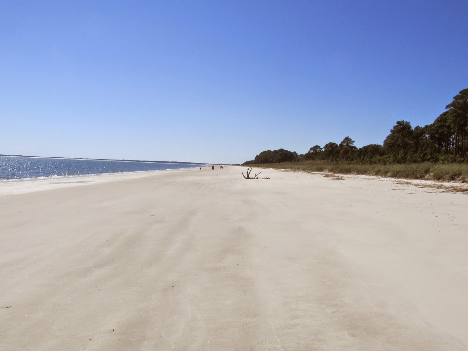 Touring America 2021 Daufuskie Island, South Carolina