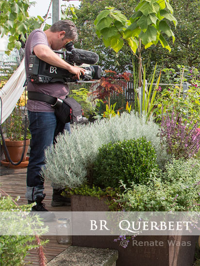 Gartenblog GeniesserGarten BR Querbeet Porträt einer Gartenarchitektin