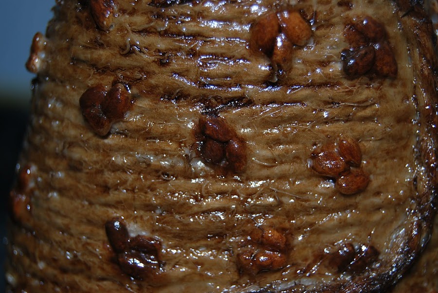 Como reciclar y reutilizar un bote de gel con dosificador.