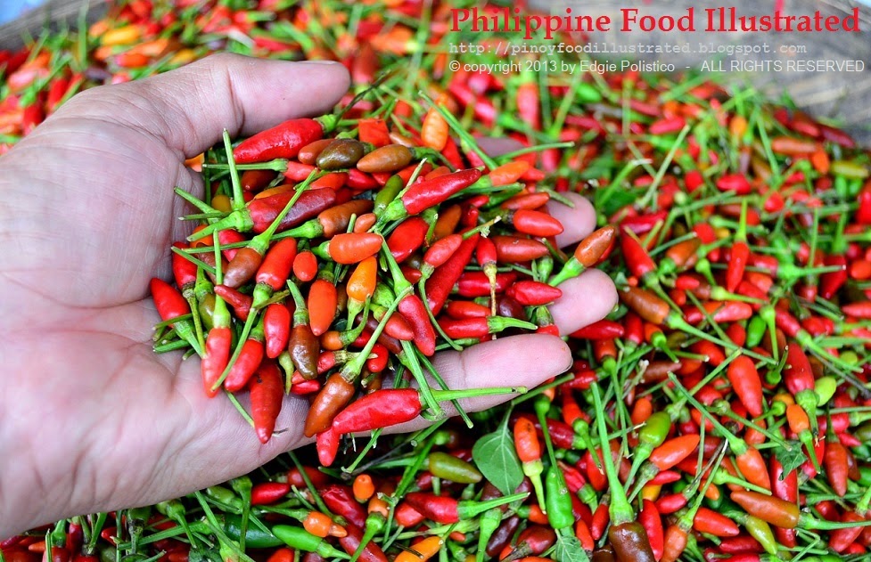 Siling Labuyo Pepper Seeds Capsicum Frutescens Filipi vrogue.co