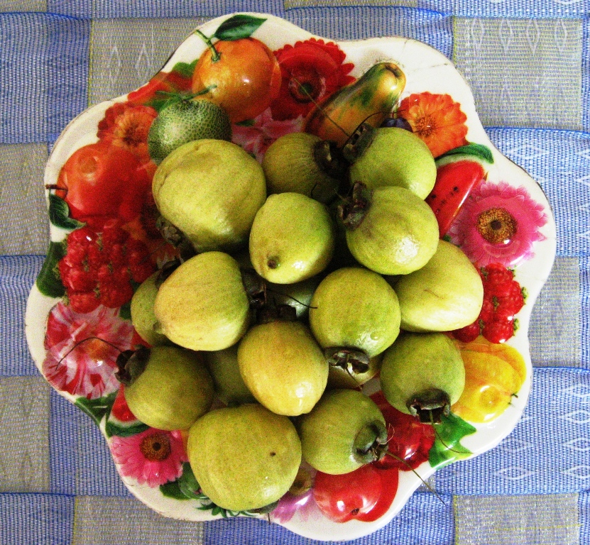 Cherishing India..... FruitsIndia.....