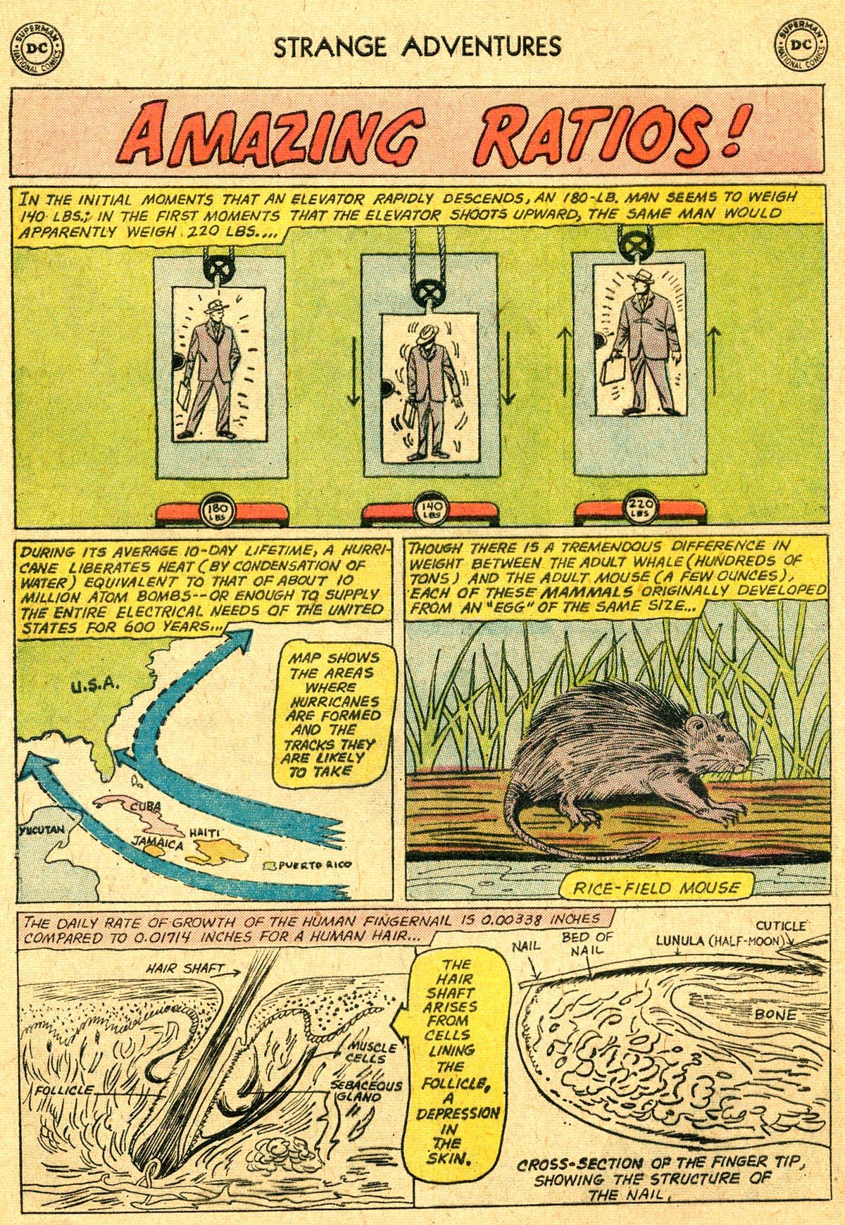 Read online Strange Adventures (1950) comic -  Issue #125 - 12