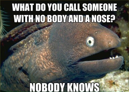 What Do You Call Someone With No Body And A Nose - Nobody Knows Joke