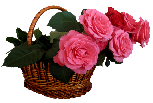 ForgetMeNot: red roses in baskets