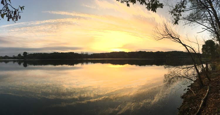 Wilderness essay image