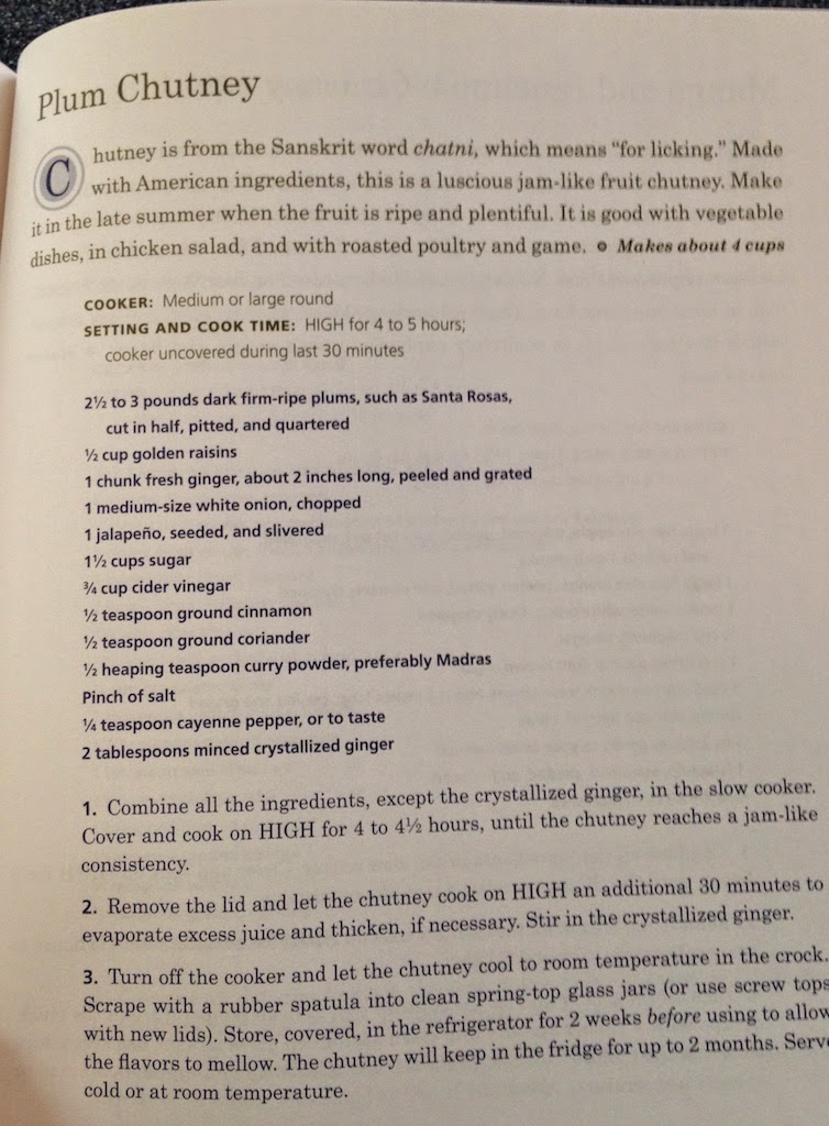 Mae's Food Blog Your Mother's Slow Cooker