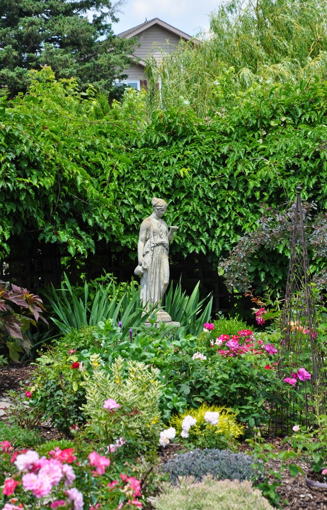 Three Dogs in a Garden: A Rose Garden