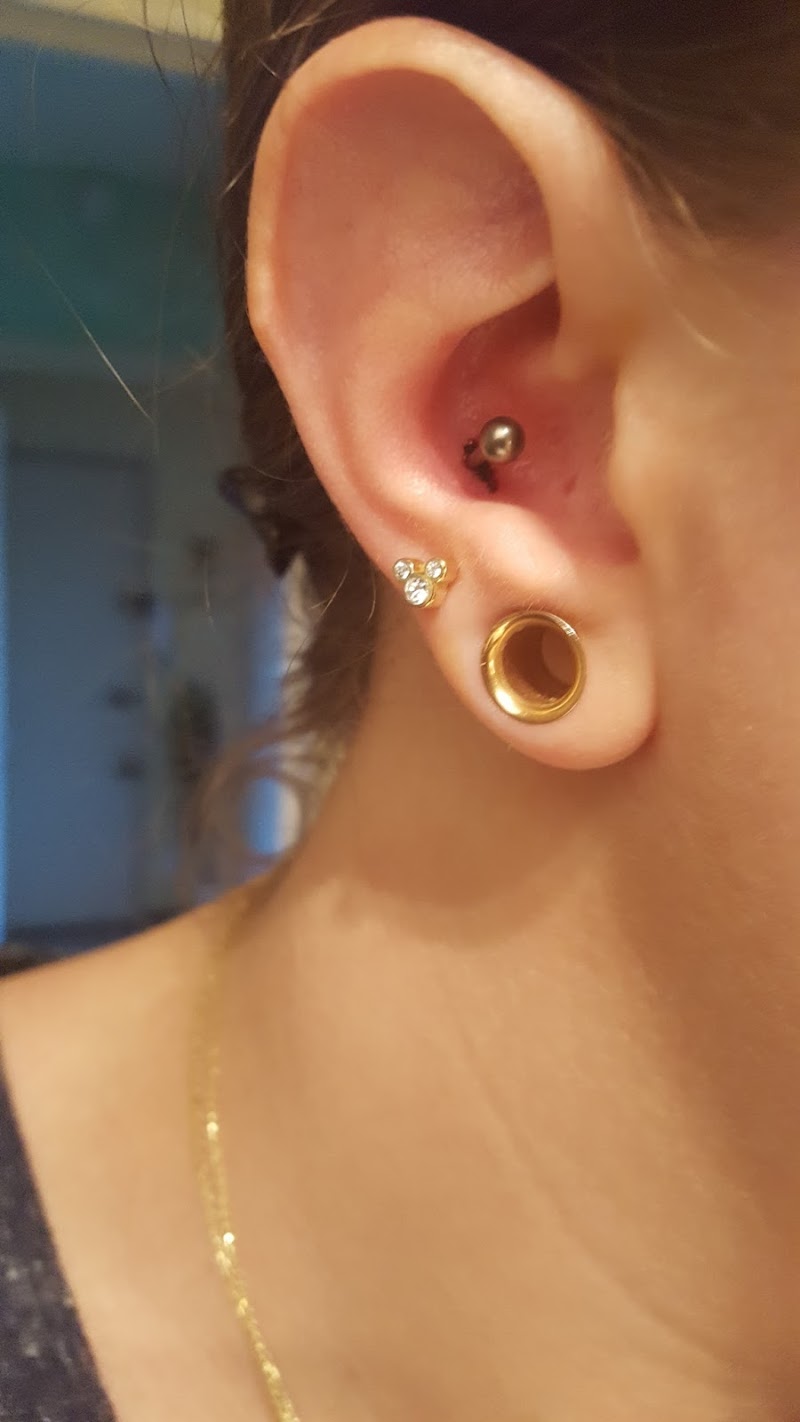 24+ Contre Conch Piercing, Info Spesial!
