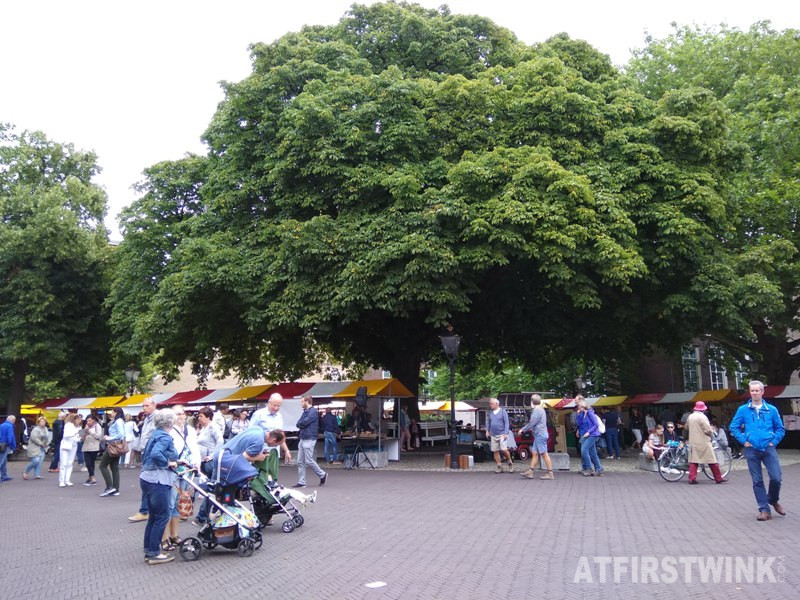 Le Marie Marché market big tree opposite of palace noordeinde