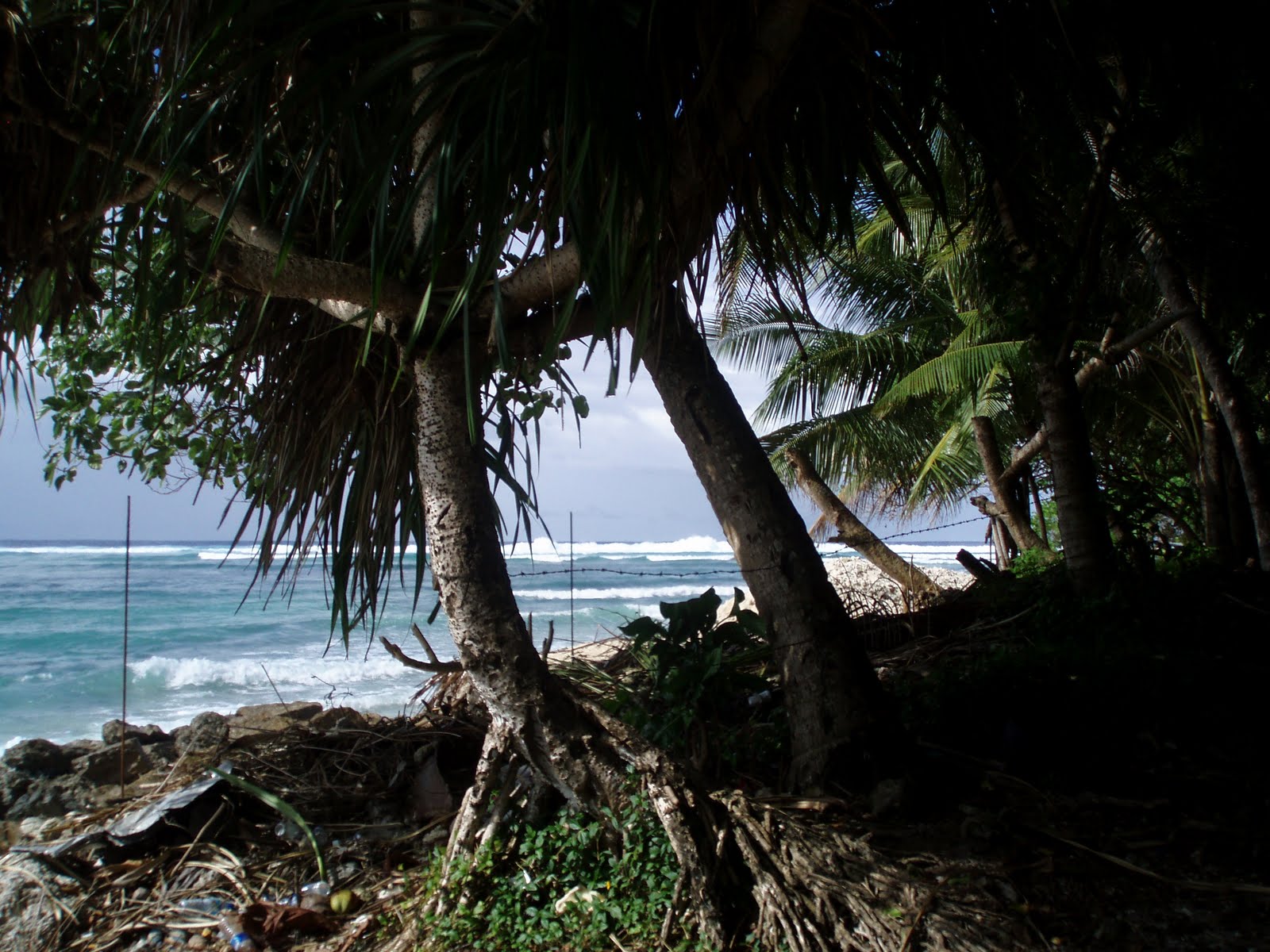 DAY IN COURT Views from MLSC islands