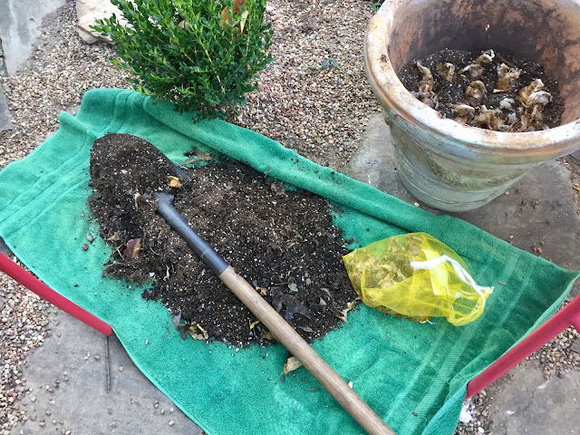 When excavating dirt out of the garden or pot for bulb planting, use a tarp or towel to keep cleanup to a minimum.