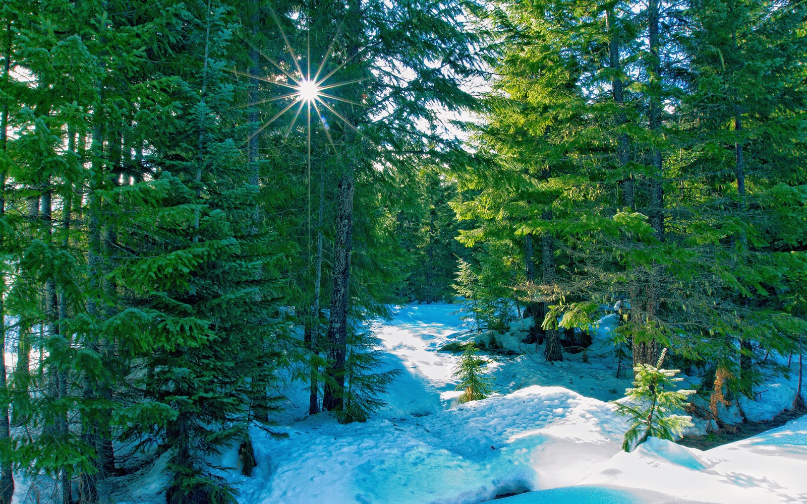 HIGH DEFINITION NATURE WALLPAPERS 2013 - Pic Wallpaper HD