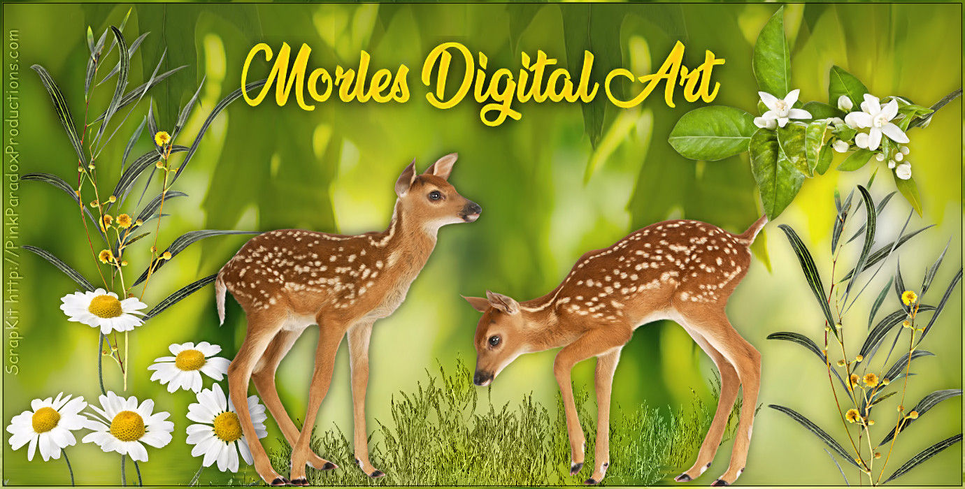 Morles Digital Art