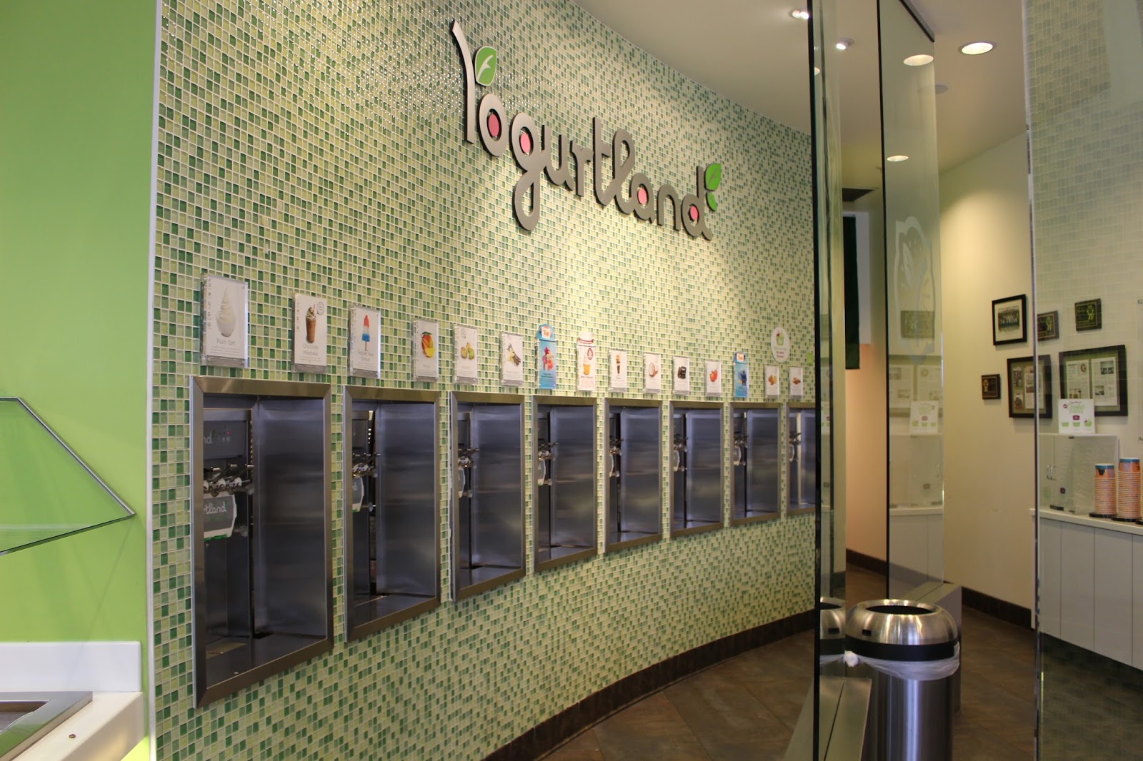 Utah County Mom Yogurtland in Orem