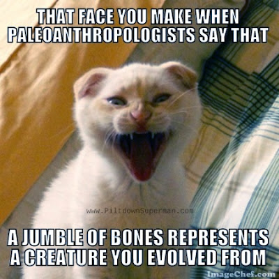 Evolutionists are excited by a pile of bones that they call our evolutionary ancestor. But there's nothing to them to indicate anything of significance.