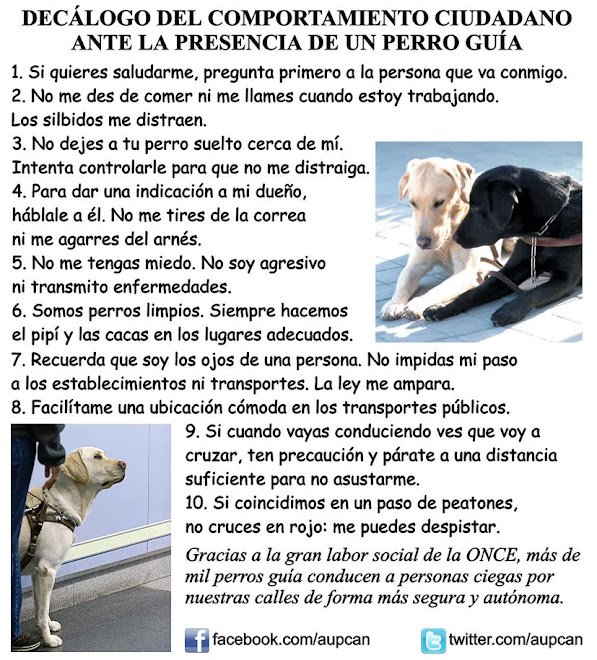 Decálogo del comportamiento ciudadano ante la presencia de un Perro Guía