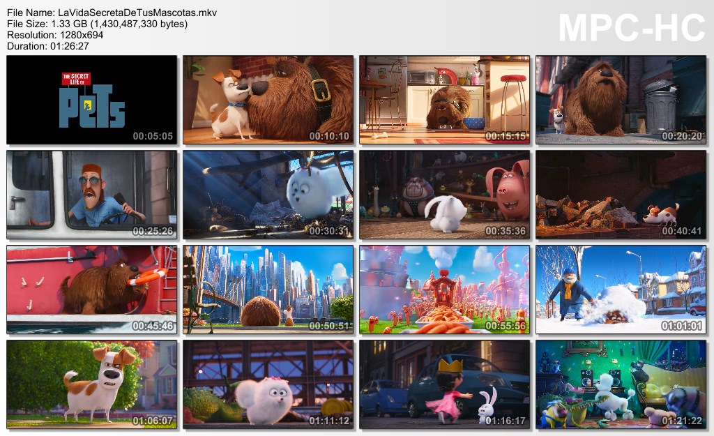 Vista previa de la película