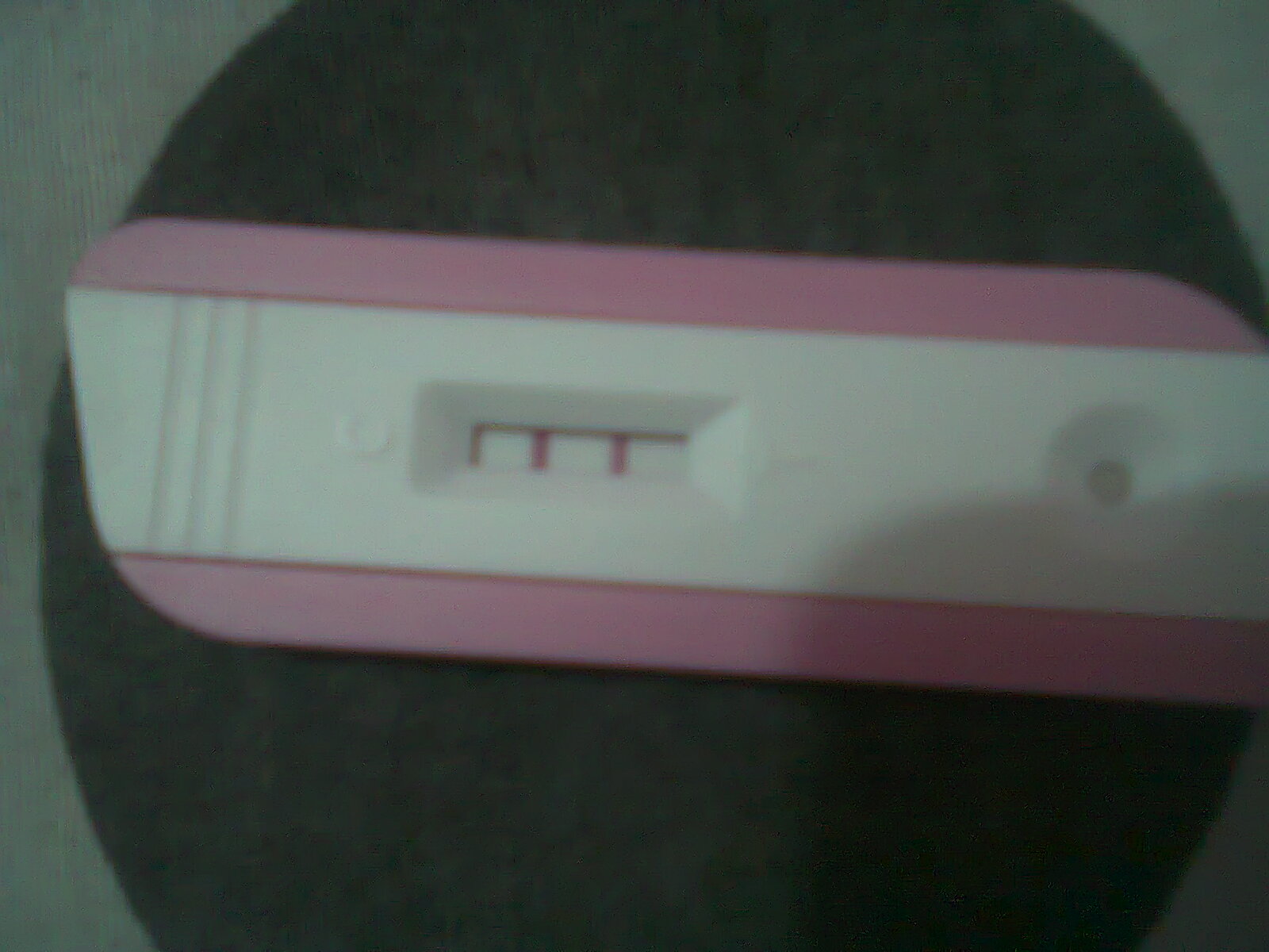 Niko's Blog: Pregnant!