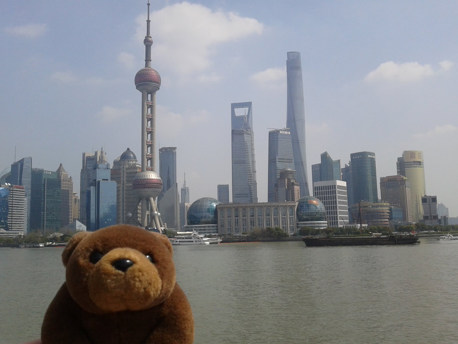 Teddy in Shanghai