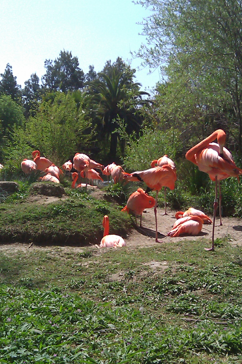 ULTRADAD Fun Parks & Zoos in Sacramento, CA