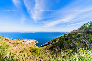 San Pancrazio Ischia, Piano Liguori, trekking Ischia, Percorsi Ischia, Ischia natura selvaggia, Colori mediterranei di Ischia, vegetazione tipica mediterranea, 