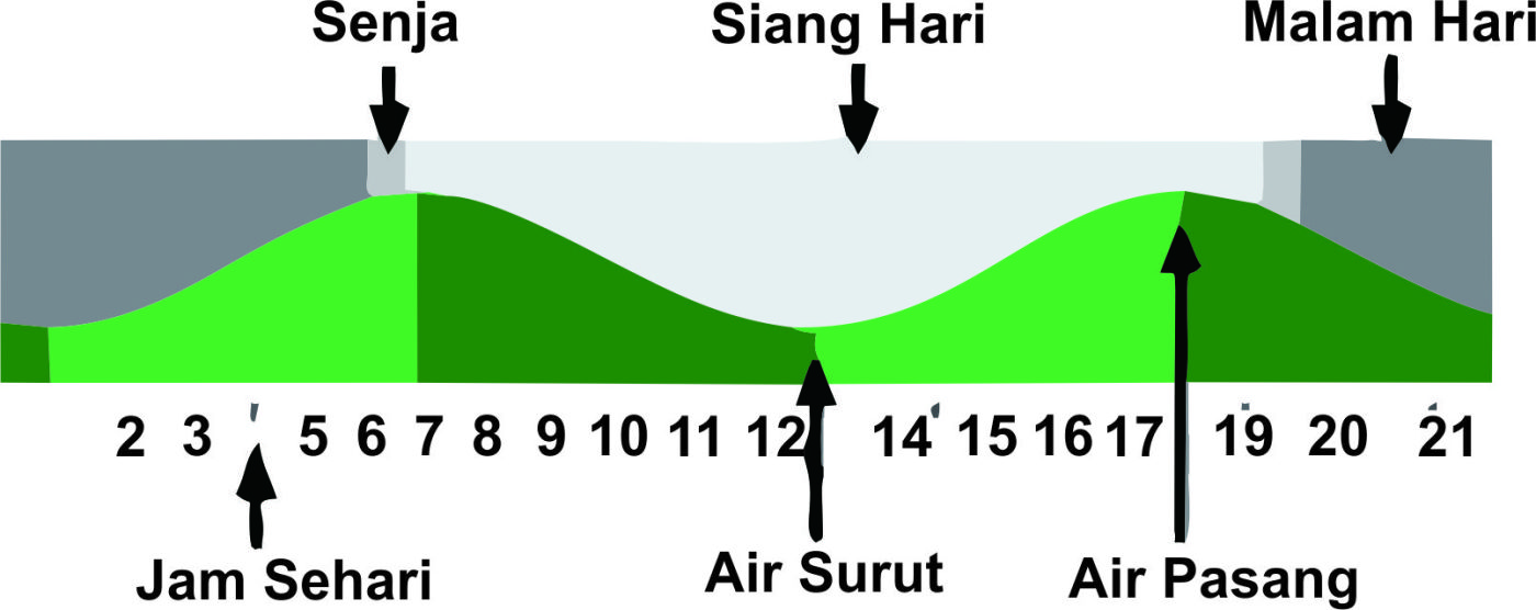 Pasang Surut Air Laut G Land
