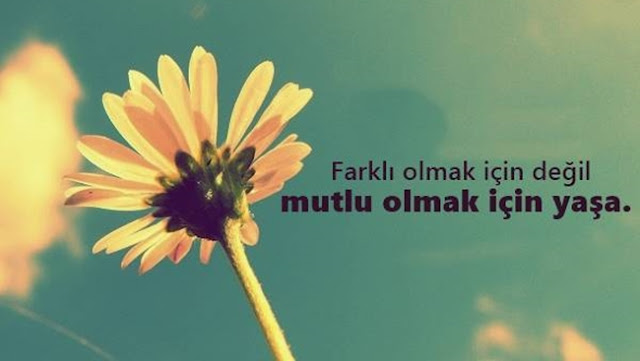 Farklı Aşk Sözleri Farklı Aşk Sözleri