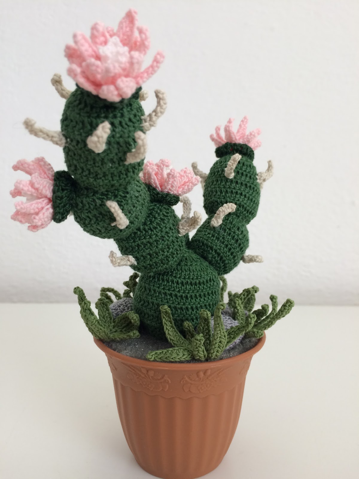 Il Blog Di Sam Spiegazione Della Pianta Grassa Tephrocactus All Uncinetto