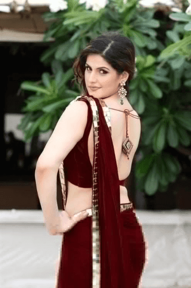 zarine khan hot images zarine khan hot images