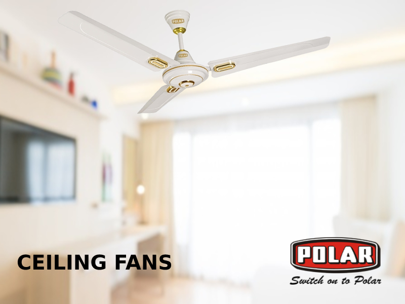 Polar Electric Best Electrical Appliances Home Cool Low Ceiling Rooms With Efficient Fans Cool Low Ceiling Rooms With Efficient, What Is The Best Ceiling Fan For Low