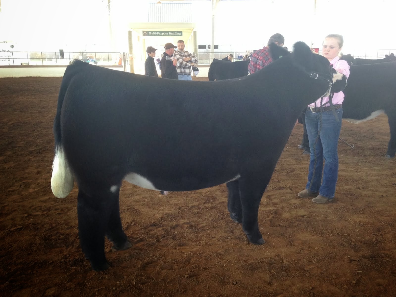 DIAMOND G CATTLE CO. National