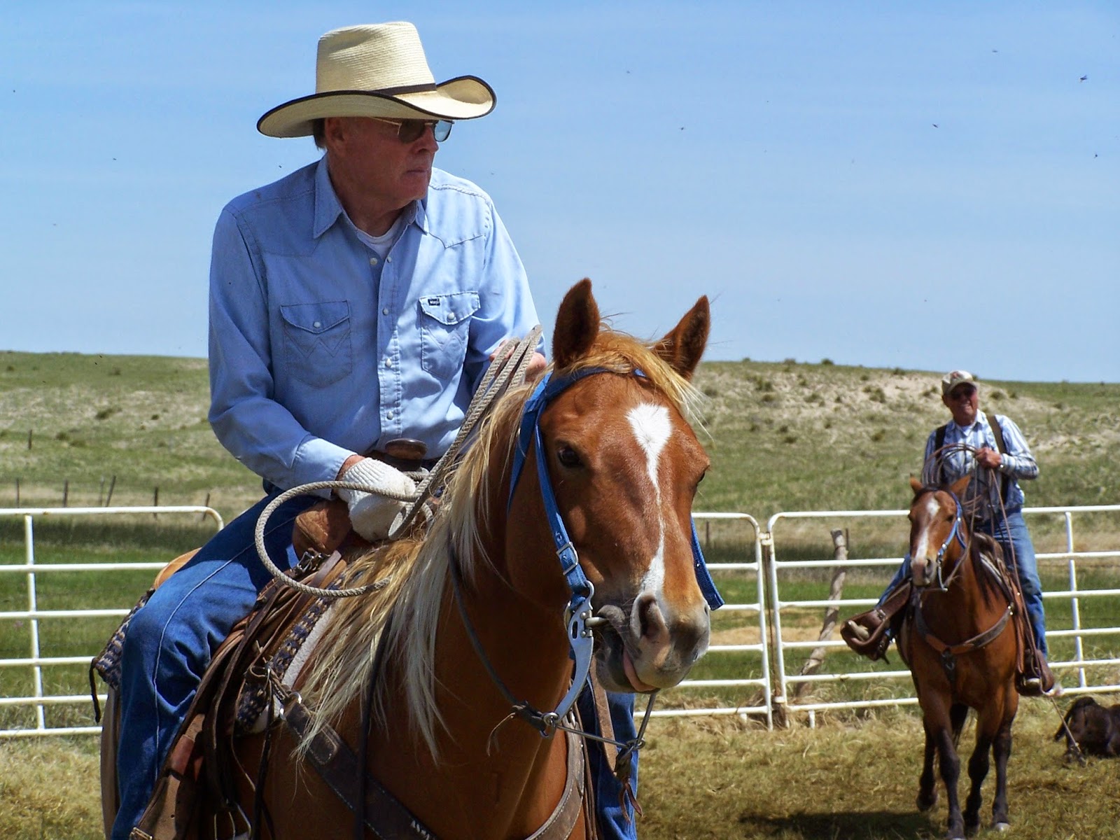 Western States Ranch Rodeo Association: 2014-08-10