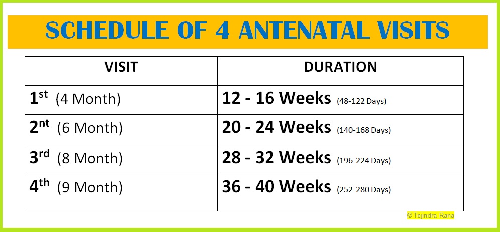 4 antenatal care visits schedule pdf
