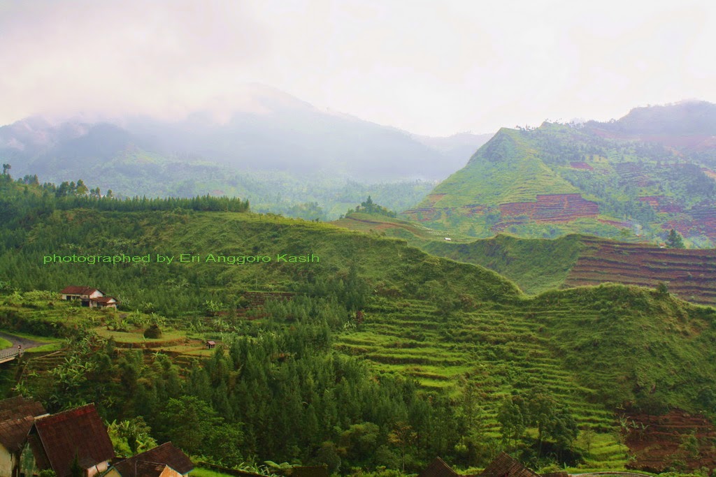 Pemandangan pegunungan di sekitar Guci. Pemandangan pegunungan di sekitar Guci.