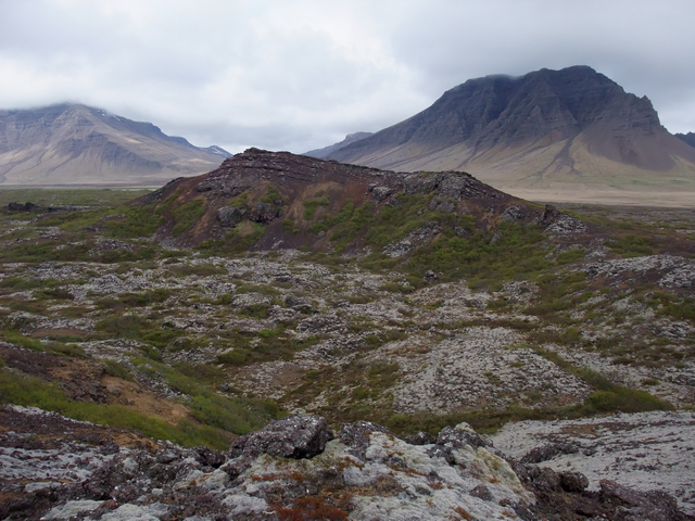 Https Www Nrz De Daten Archiv So Begeisterten Die Kueken In Der