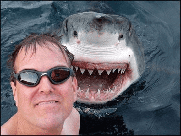 köpek balığı ile selfie