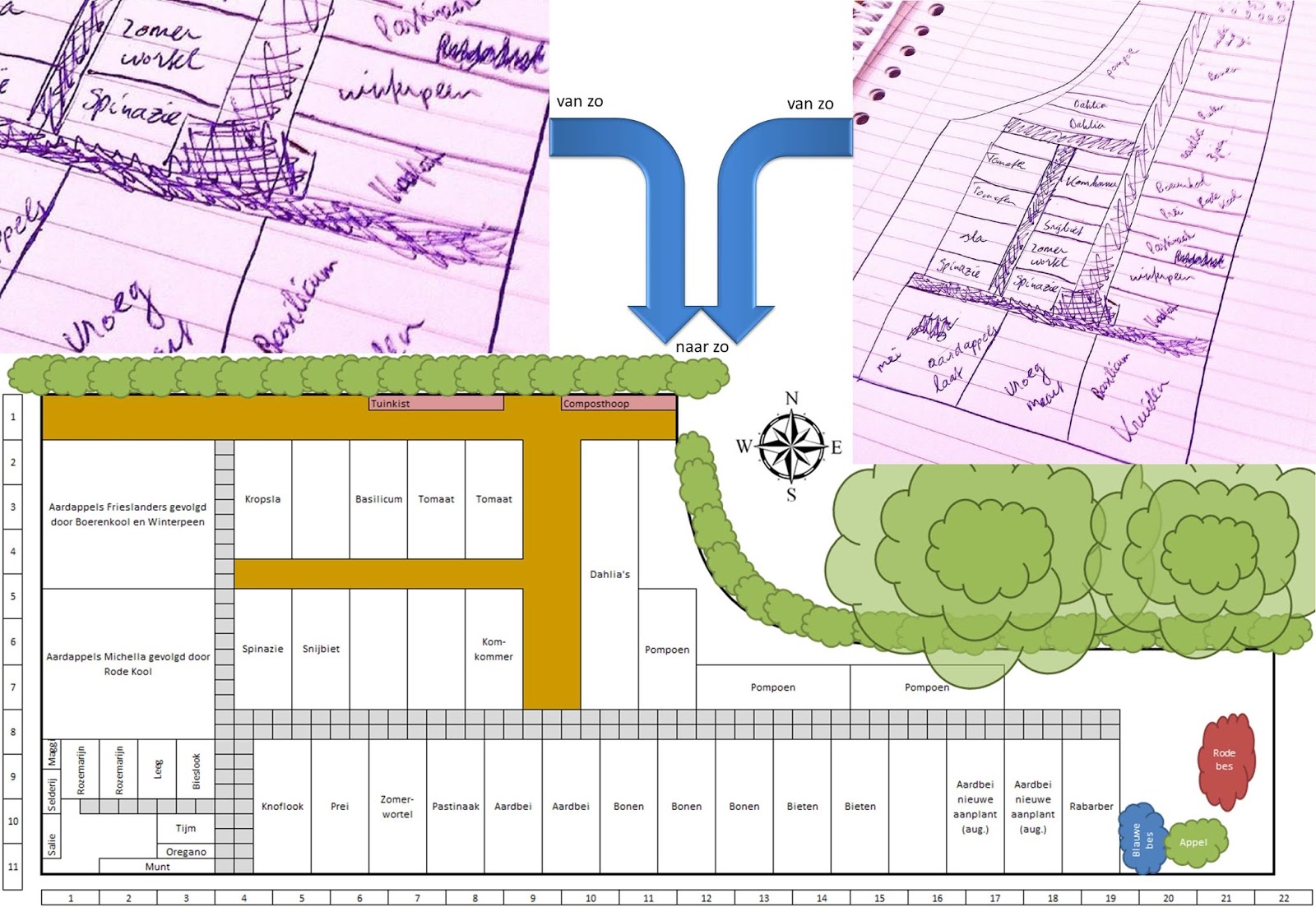 moestuinplan teeltplan wisselteelt excel