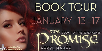 http://yaboundbooktours.blogspot.com/2013/11/book-blitz-sign-up-promise-by-apryl.html 