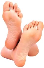 PIEL PLANTAR Piel Plantar