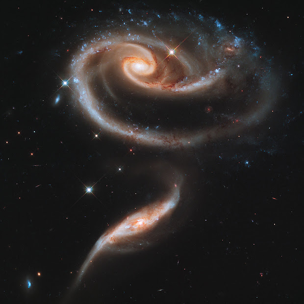 Arp 273, a rose of Galaxies to celebrate Hubble's 21st Anniversary