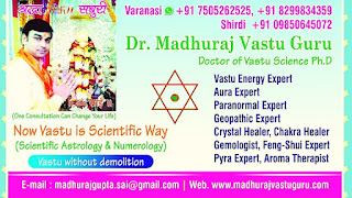  Dr. Madhuraj 