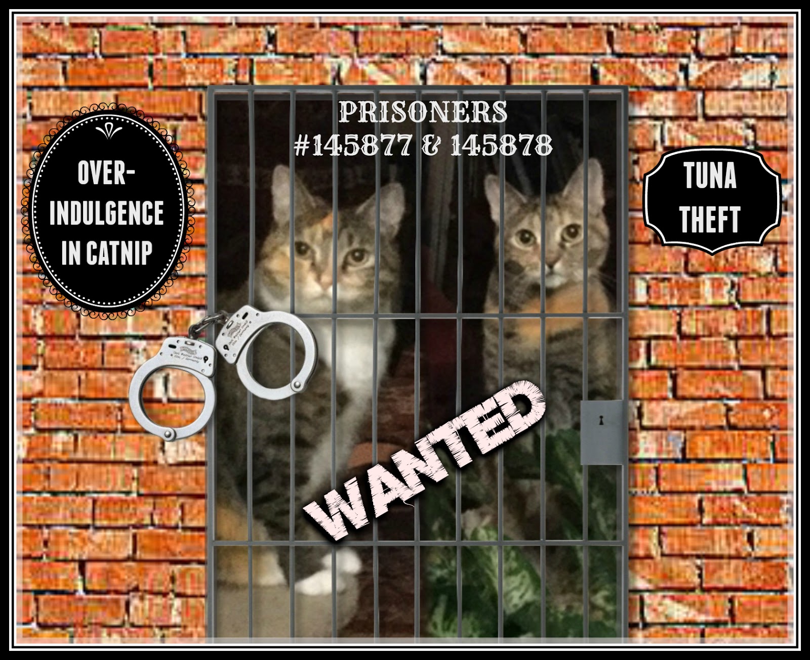 Peaches and Paprika Peaches and Paprika Arrested in Jail!