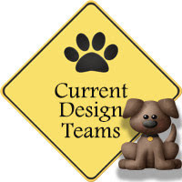 Current Design Teams