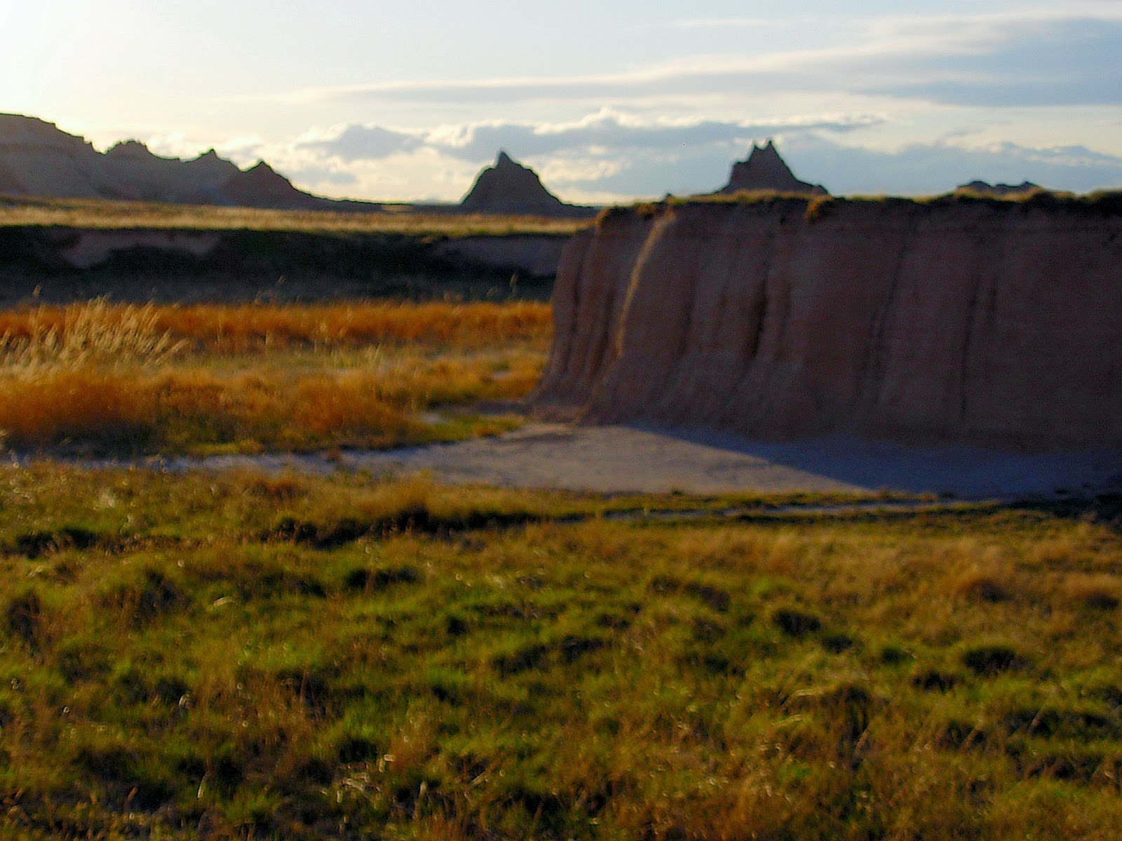 IBEREXPEDICIONES: Norteamérica; un viaje a través de su naturaleza.