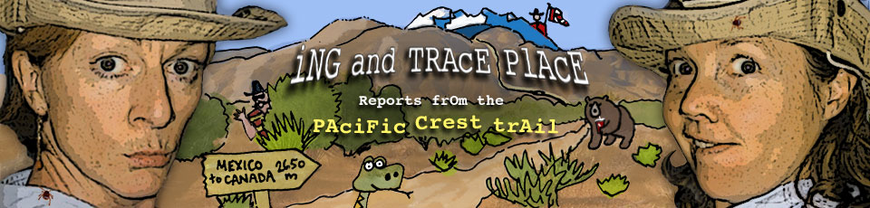 The Ing and Trace Place