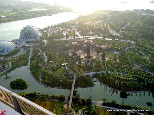 birds eye view of Gardens by the Bay from Sky on 57
