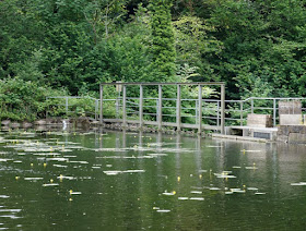 Ein Familien-Ausflug zu den Fischen: Die Fischtreppe an der Schwentine. Im angestauten Teich schwimmen auch Karpfen!