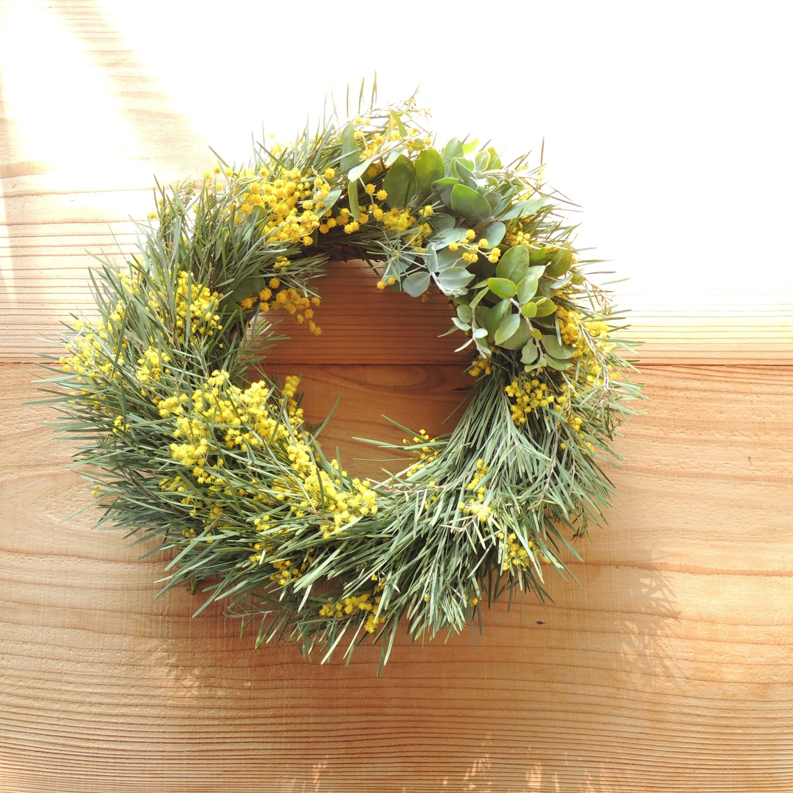 Spring 陽炎 ミモザ スノーウィーワトルのハーフリース 15〜20cm