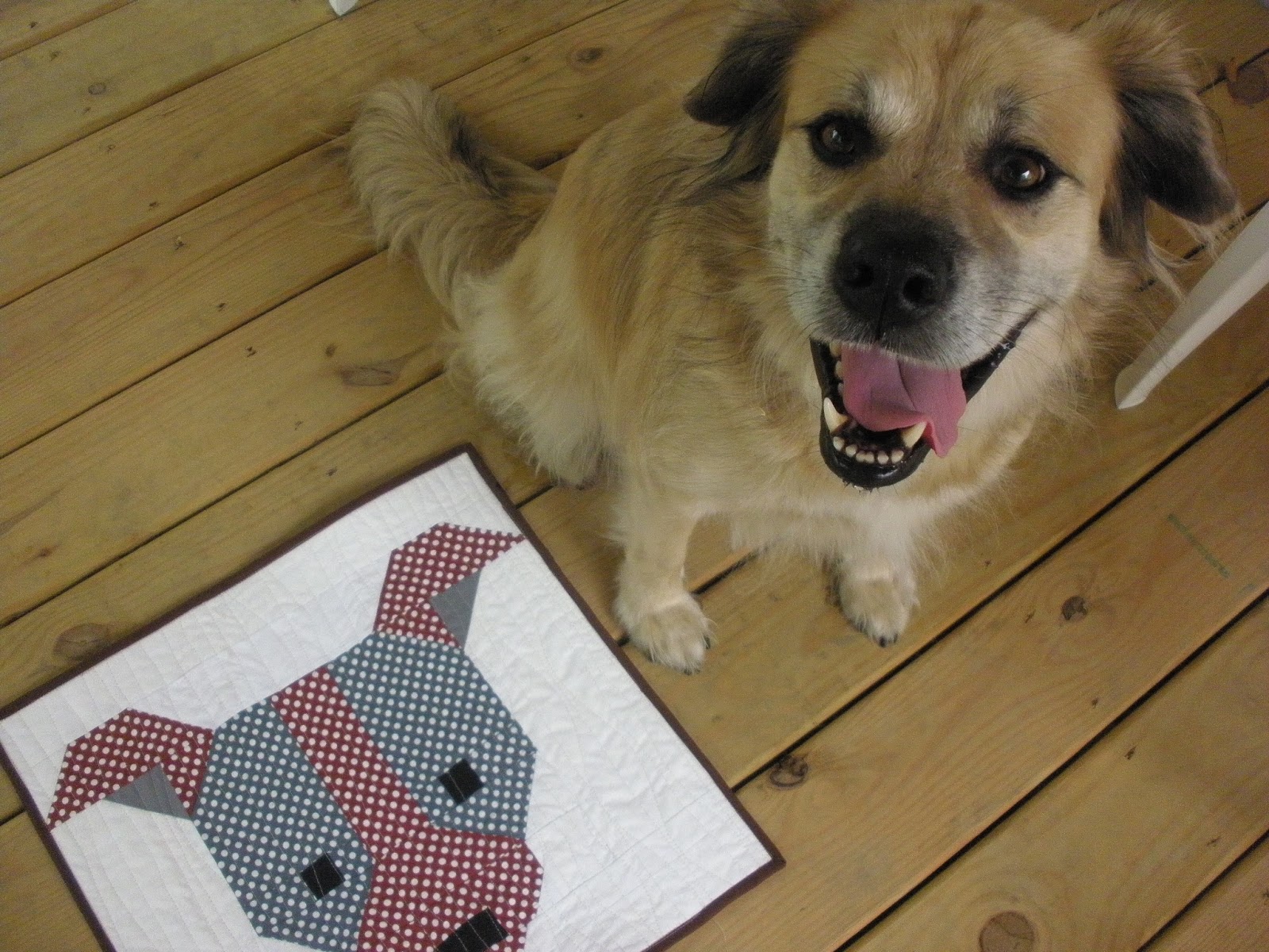 High Road Quilter Pets on Quilts 2016